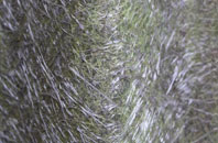 Old Heath fibreglass roof work